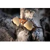 Prancūzija Julbo Vermont Brass SP3 CF Gold
