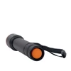 Lifesystems Jungtine Karalyste Lifesystem Intensity 480 LED Torch prožektorius