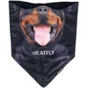 Kaukė MeatFly Dog