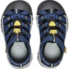 KEEN Newport H2 Little Kid vaikiškos basutės – Naval Academy/KEEN Geltona