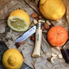 Prancūzija Peilis Opinel Nr.7 buko