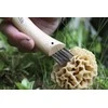 Opinel Nr. 8 peilis grybavimui