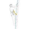 Prancūzija Petzl Asap'sorber 40 cm absorberis
