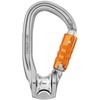 Prancūzija Petzl rollclip Z Triact screw lock karabinas su skriemuliu