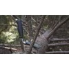 Peilis Morakniv Companion HeavyDuty MG C Pinp