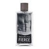 Abercrombie &amp; Fitch Fierce