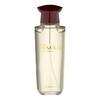 Antonio Banderas Diavolo for Men EDT tualetinis vanduo vyrams, 100 ml