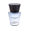 Burberry Touch for Men EDT tualetinis vanduo vyrams, 50 ml