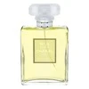Chanel No 19 Poudre EDP parfumuotas vanduo moterims, 100 ml