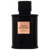 David Beckham Bold Instinct EDP parfumuotas vanduo vyrams, 75 ml