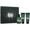 Dsquared2 Žalias Wood rinkinys vyrams (EDT, 100 ml + dušo želė, 100 ml + balzamas po skutimosi, 100 ml)