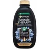 Garnier Botanic Therapy Magnetic Charcoal &amp; Juodas Seed Oil Šampūnas moterims, 400 ml