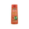 Garnier Fructis Šampūnas, 400 ml