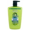 Garnier Fructis Strength &amp; Shine Šampūnas moterims, 1000 ml
