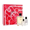 Hermes Terre d´Hermes rinkinys vyrams (EDT, 100 + EDT, 12,5 ml EDT + losjonas po skutimosi, 40 ml)