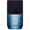 Issey Miyake Fusion D'issey Extrême intensyvus tualetinis vanduo 50ml