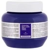 Dažanti plaukų kaukė Kallos Coloring Hair Mask Sidabrinis Reflex 275ml