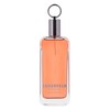 Karl Lagerfeld Classic EDT Kvepalai Vyrams 100ml