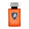 Tonino Lamborghini Lamborghini Sportivo EDT tualetinis vanduo vyrams, 125 ml
