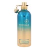 Montale Paris Montale Aoud Lagoon EDP parfumuotas vanduo unisex, 100 ml
