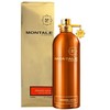 Montale Paris Montale Aoud Oranžinis EDP parfumuotas vanduo Unisex, 100 ml