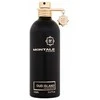 Montale Paris Montale Oud Island EDP parfumuotas vanduo unisex, 100 ml