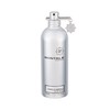 Montale Paris Montale Vanille Absolu EDP parfumuotas vanduo moterims, 100 ml