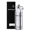 Montale Paris Montale Vanille Absolu EDP parfumuotas vanduo moterims, 100 ml