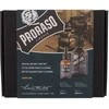 Barzdos priežiūros rinkinys Proraso Duo Pack Azur Lime Beard Oil &amp; Shampoo, 1vnt