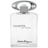 Salvatore Ferragamo Incanto pour Homme (Kvepalai vyrams) EDT 100ml