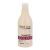 Šampūnas skirtas dažytiems plaukams Stapiz Sleek Line Colour 300ml