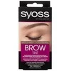 Syoss Brow Tint antakių spalva