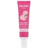 Weleda Wild Rose &amp; Baltas Tea Smoothing Paakių kremas Paakių kremas