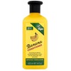 Xpel Banana Conditioner Conditioner