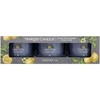 Yankee Candle Yankee žvakė su užpilu „Juodas arbata ir citrina“, 3 x 37 g