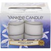 Yankee Candle Midnight Jasmine Scented Candle