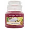 Yankee Candle Sunny Daydream kvapioji žvakė unisex, 104 g
