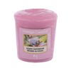 Yankee Candle Sunny Daydream kvapioji žvakė kvapioji žvakė, 49 g