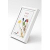 Gedeon Rėmelis GED 60x80 plast EASY baltas | 8mm