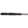 Makita Prailgintas grąžtas medžiui 16X600 mm D-70378