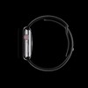 Apsauginė ekrano plėvelė išmaniojo laikrodžio Apple Watch 4, 44mm, 3vnt.