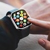 LCD apsauginis stikliukas/dėklas Dux Ducis Hamo Apple Watch 44mm sidabrinis