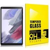 Reach LCD apsauginis stikliukas 9H Samsung X930/X936 Tab S11 Ultra