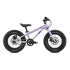 EARLY RIDER Seeker 14