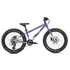 EARLY RIDER Seeker 20