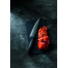 Wusthof Chefs peilis, 20 cm, Performer
