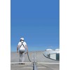 Fall arrester harness with belt HAR22X S/M/L, Delta Plus