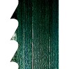 Pjovimo juosta Basa 4 2895x15x0,65mm 4 TPI, Scheppach