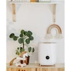 Adler | AD 7972 | Drėkintuvas | 23 W | Vanduo bako talpa 4 L | Tinka kambariams iki 35 m² | Ultragarsinis | Drėkinimo pajėgumas 150-300 ml/val | Baltas