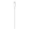 Apple USB-C laidas su Lightning (1 m)